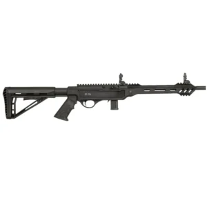 Carabine semi-automatique cal .22 LR